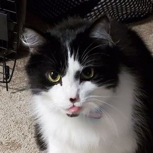 Meet your Posher, Audrey